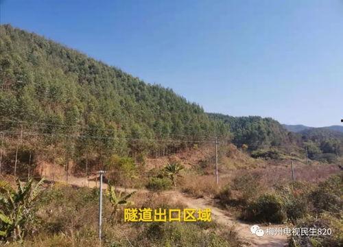 梅州民生820最新爆料,揭秘背后惊人真相！  第2张